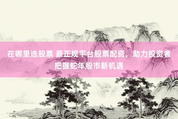 在哪里选股票 最正规平台股票配资，助力投资者把握蛇年股市新机遇