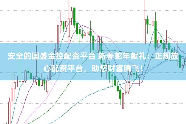 安全的国盛金控配资平台 新春蛇年献礼：正规放心配资平台，助您财富腾飞！