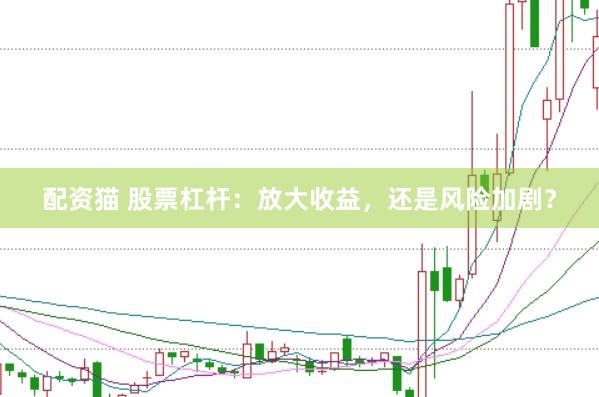 配资猫 股票杠杆：放大收益，还是风险加剧？