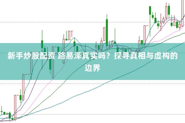 新手炒股配资 路易泽真实吗？探寻真相与虚构的边界