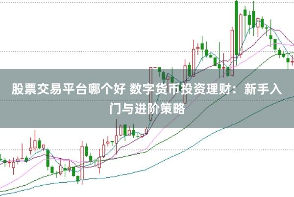 股票交易平台哪个好 数字货币投资理财：新手入门与进阶策略
