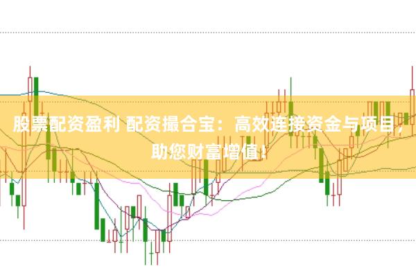股票配资盈利 配资撮合宝：高效连接资金与项目，助您财富增值！