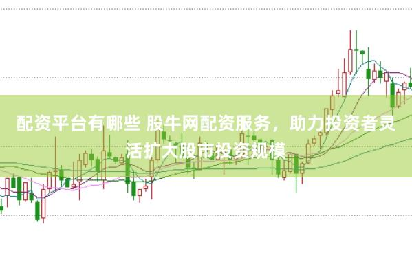 配资平台有哪些 股牛网配资服务，助力投资者灵活扩大股市投资规模