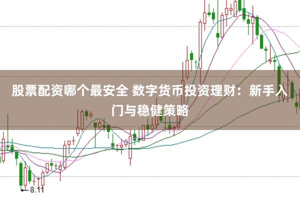 股票配资哪个最安全 数字货币投资理财：新手入门与稳健策略