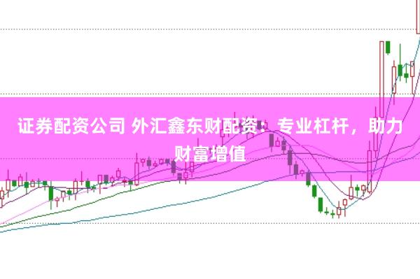 证券配资公司 外汇鑫东财配资：专业杠杆，助力财富增值