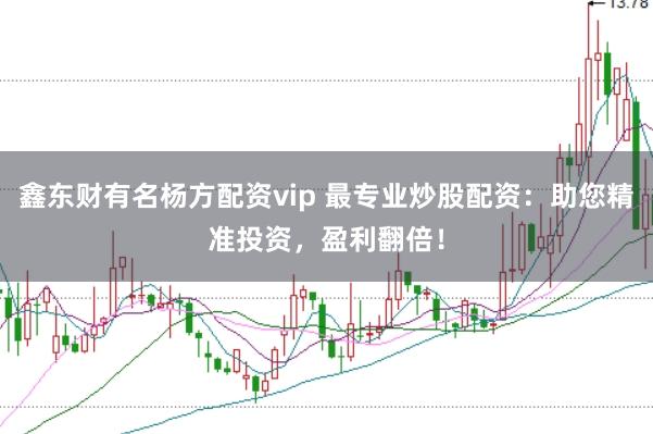 鑫东财有名杨方配资vip 最专业炒股配资：助您精准投资，盈利翻倍！