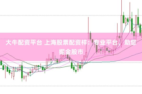大牛配资平台 上海股票配资梓：专业平台，助您掘金股市