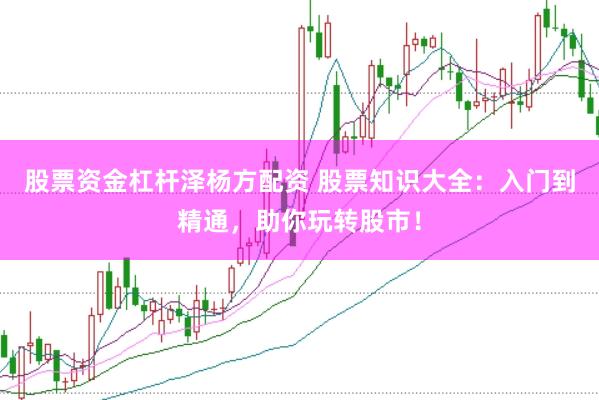 股票资金杠杆泽杨方配资 股票知识大全：入门到精通，助你玩转股市！