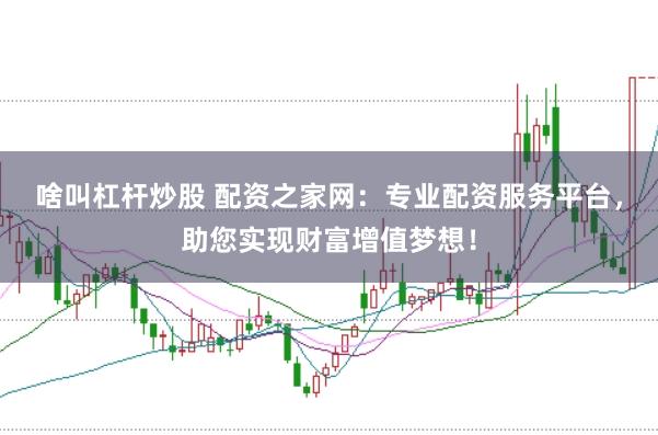 啥叫杠杆炒股 配资之家网：专业配资服务平台，助您实现财富增值梦想！