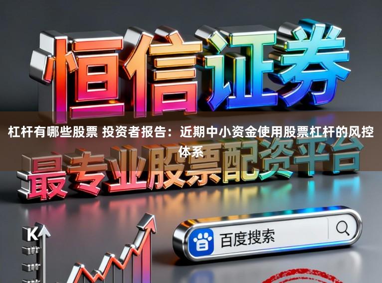 杠杆有哪些股票 投资者报告：近期中小资金使用股票杠杆的风控体系